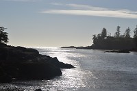 DSC_0171