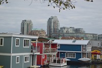 DSC_0212