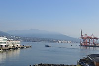 DSC_0296