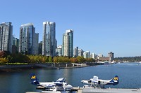 DSC_0312