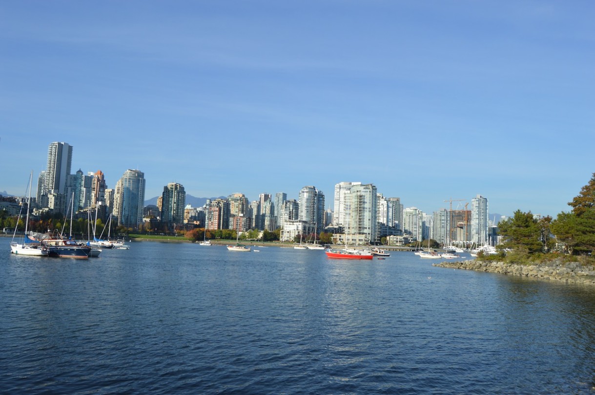 DSC_0339