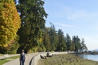 DSC_0346