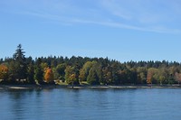 DSC_0363