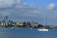 DSC_0198
