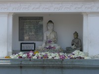 P1130355