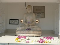 P1130357
