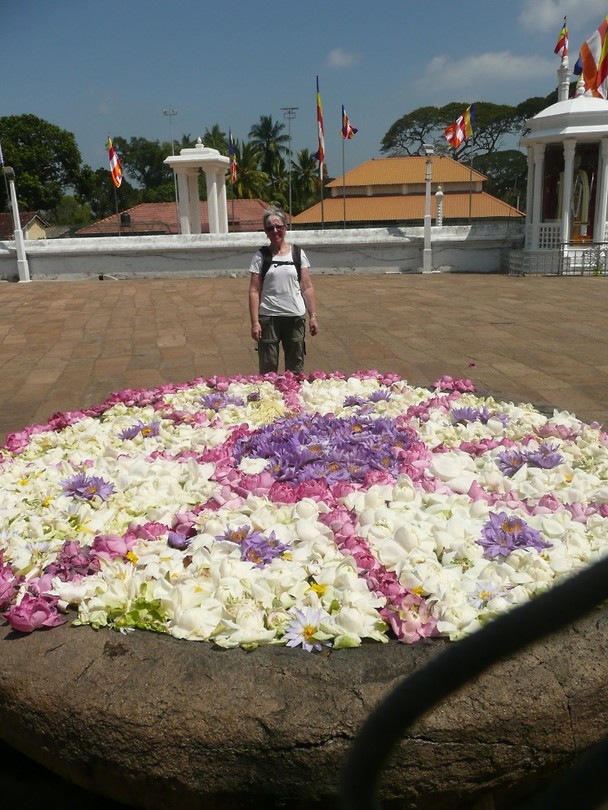 P1130364