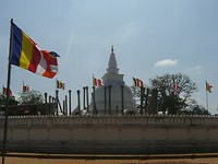 P1130377