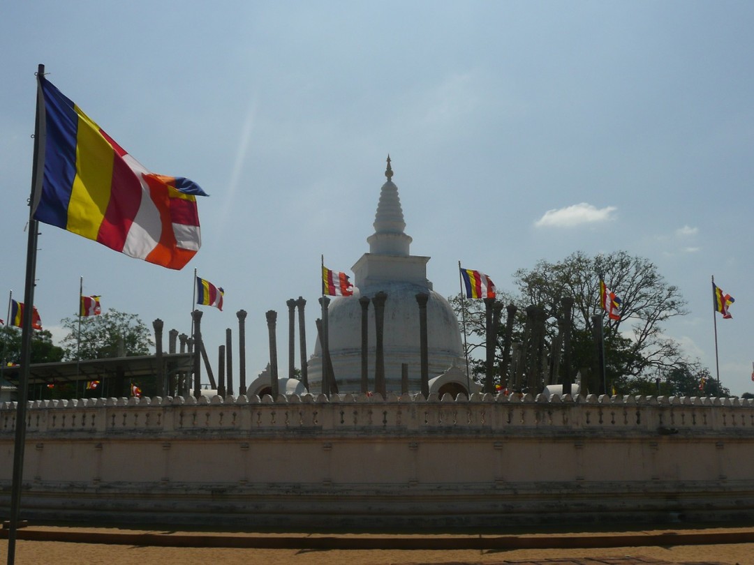 P1130377