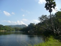 P1130380