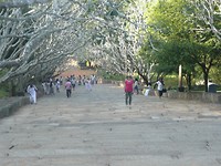 P1130392