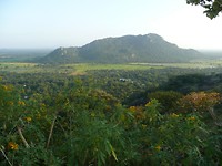 P1130406