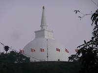 P1130418