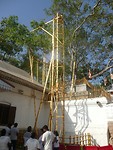 P1130423