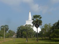 P1130430