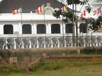 P1130431