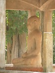 P1130448