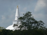 P1130495