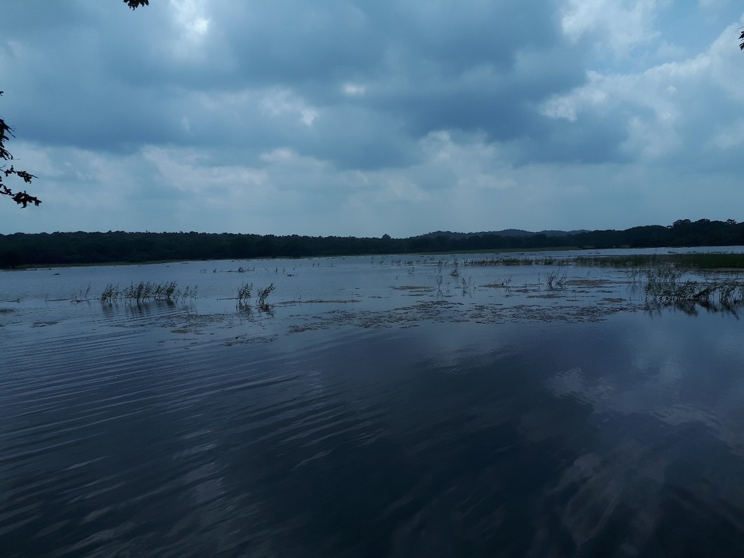 20200204_115906