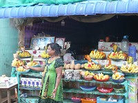 P1130535