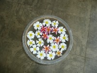 P1130581