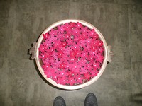 P1130582