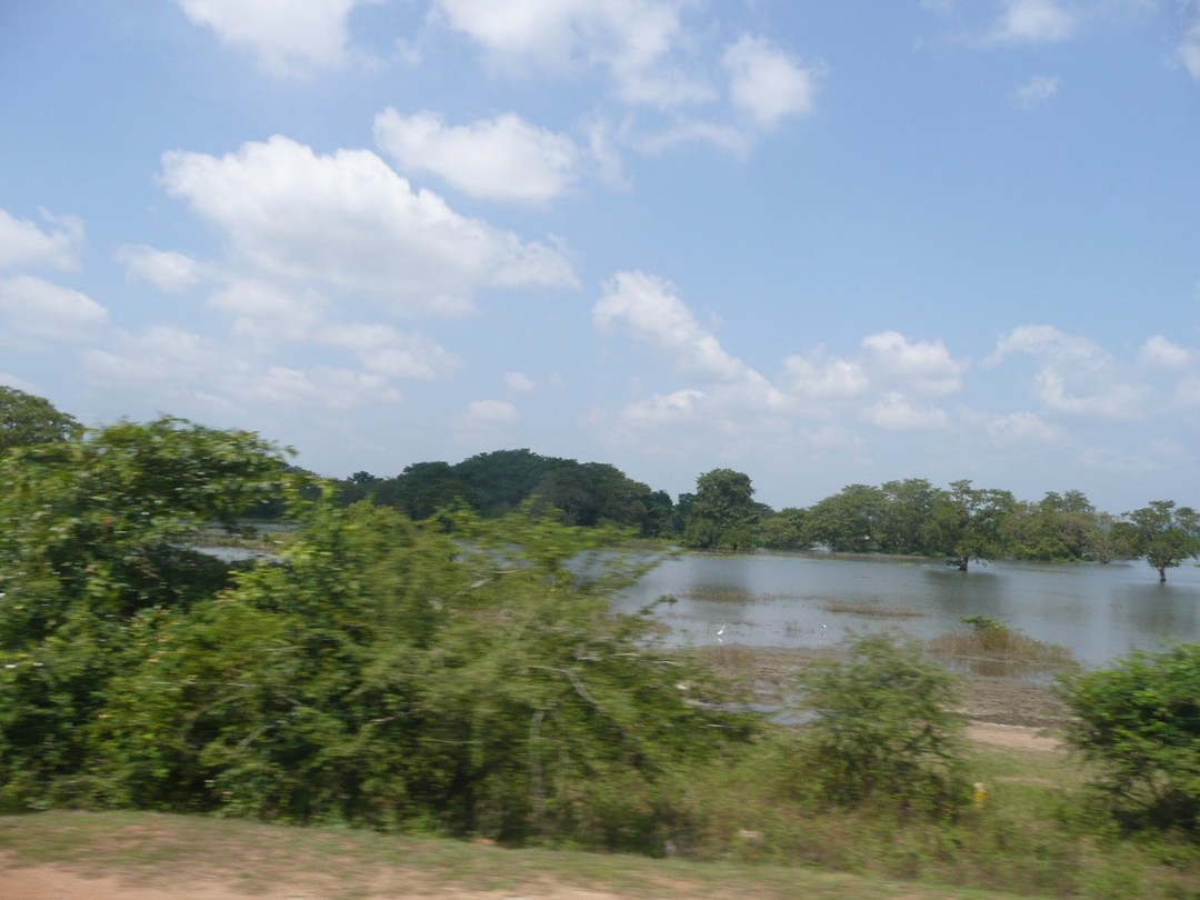 P1130603