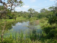 P1130614