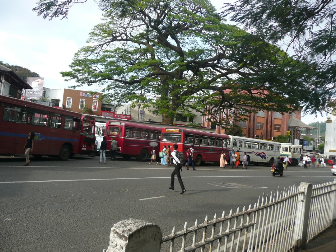 P1130767