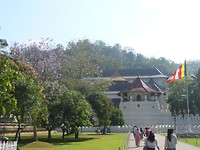 P1130769