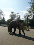 P1130770