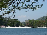 P1130800