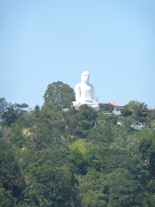 P1130803