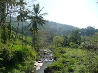 P1130810