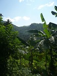P1130818