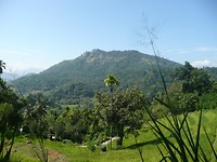 P1130822
