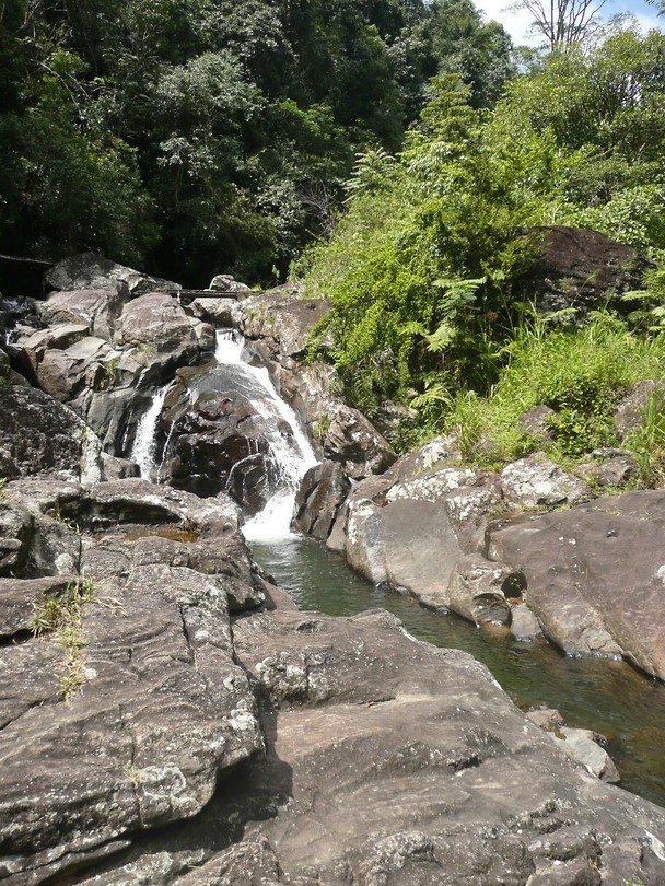P1130842