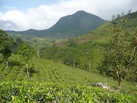 P1130853