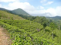 P1130854