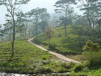 P1130855