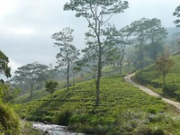 P1130857