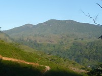 P1130869