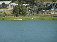 P1130941