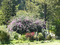 P1130952
