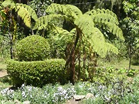 P1130956
