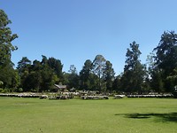P1130957