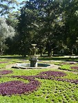 P1130959