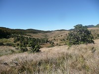 P1140053