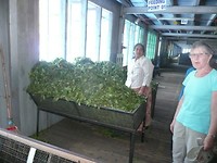 P1140057