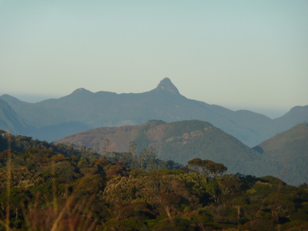P1140010